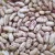 Import Egyptian White kidney beans/ Red Kidney Beans/ Light Speckled Kidney Beans from Netherlands