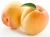 Import Factory direct selling apricot fresh dry apricot from South Africa