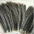 Import Factory direct wholesale 35-40 inch pheasant feathers Natural Pheasant Tail Feathers from China