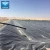 Import Factory directly supply geomembrane hdpe/pond liner/ponds men from China