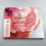 Factory Manufacture Customized Various Fine Office File Folder Packaging,Paper folder set