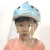 Import Factory Price Manufacturer Supplier Cartoon Face Shield Child from China