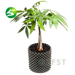 Factory price plastic nursery air pruning pot for tree plant