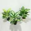 factory wholesale simulation plant indoor decorative artificial evergreen plant