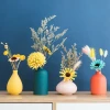Fashionable Colorful Small Aromatherapy Bottles  Matte Delicate Ceramic decorative Flower Vase On Desktop