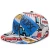 Import Fashionable style satin lined printed baseball cap sports caps white from China