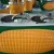Import fiberglass corn shape kiosk corn steamer cart/ cart sweet corn from China