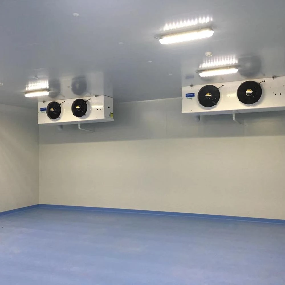 Fish Fruit And Vegetable Cold Storage Room Cooling Machine Equipment