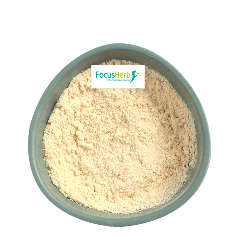 FocusHerb Best Price Organic Rice Protein Concentrate Powder