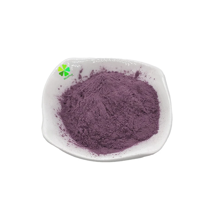 Food additives elderberry fruit extract juice powder