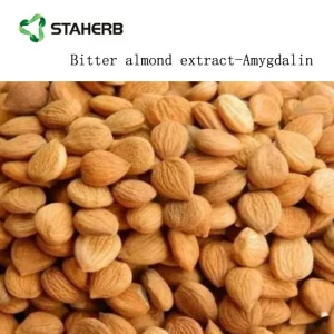 For cancer cure amygdalin 98% Bitter apricot kernel extract Vitamin B17 Capsule
