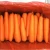 Import fresh carrot size s m l 2l 3l ,fresh carrot price  hot sale from China