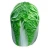 Import Fresh Celery Cabbage from South Africa
