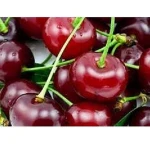 Fresh Cherries