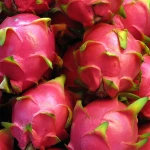 Fresh Dragon Fruit From Vietnam