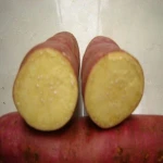 Fresh Egyptian Sweet Potato