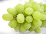 Fresh Grapes , Fresh Green Seedless grape , bulk grapes