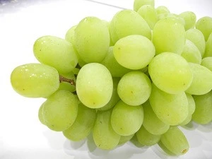 Fresh Grapes , Fresh Green Seedless grape , bulk grapes