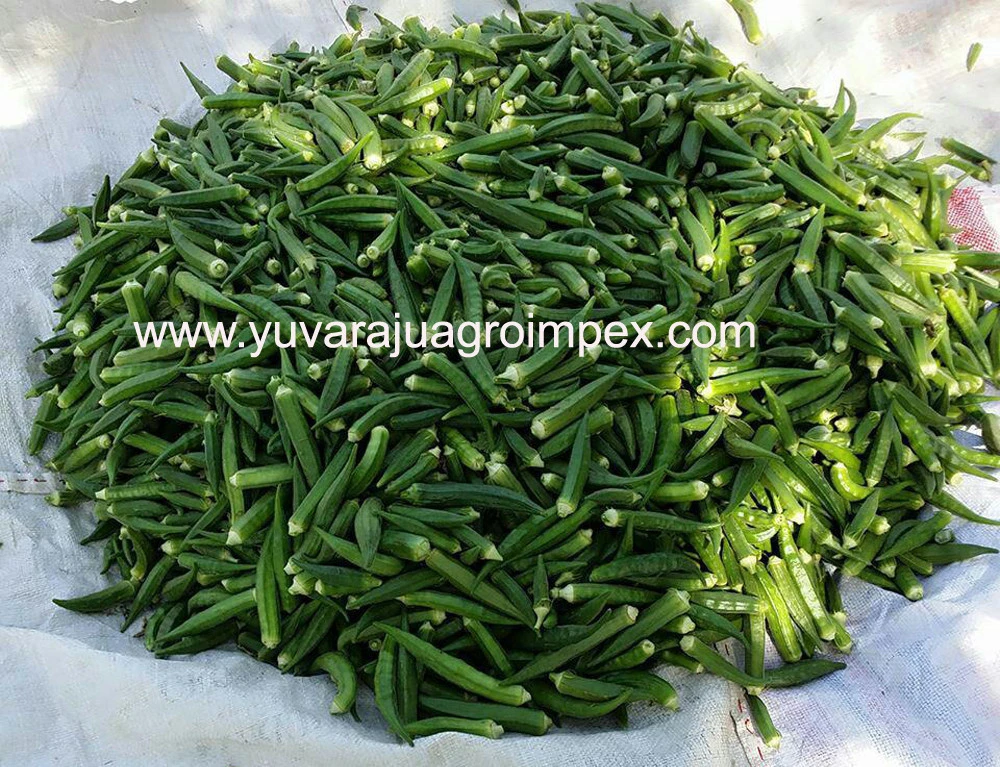 Fresh Green Okra Manufacturer/ Supplier/ Exporter in India
