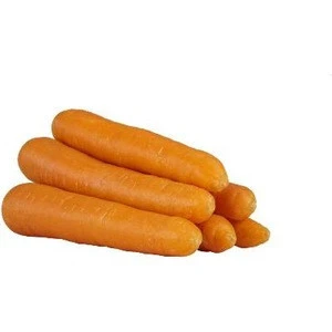 Fresh IQF/frozen carrot whole and frozen vegetables from Europe at good prices