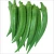 Import fresh Ladyfinger  Fresh Vegetables from Pakistan