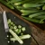 Import Fresh Okra Fresh Vegetables, Fresh Lady Finger, Organic Fresh Native products fresh from China