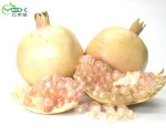Fresh Pomegranate