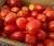 Import fresh tomatoes for sale from Philippines