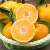 Import fresh Valencia orange and Mandrin oranges, Citrus from China, Ready to export season 2020 from China
