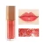 Import Fruit Flavored Color Nourishing Glitter Shiny Lip Gloss from China