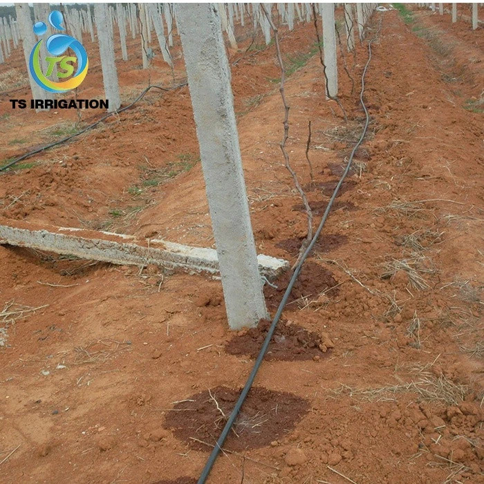 fruit tree irrigation system project sample