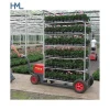 Galvanized metal horticultural nursery plant transport steel cc danish trolleys for sale