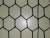 Import Galvanized pvc coated hexagonal chicken wire mesh farm fence / pvc coated chicken wire mesh from China