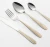 Import Garden Home Dinnerware Stainless Steel Luxury Disposable Restaurant Cutlery Set Dubai Copper Or Gold Edible Tableware from China