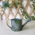 Import Garden outdoor indoor kids small galvanized watering can from China