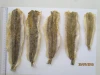 Good Food Dried Seafood Medium Fish - Seafood High Quality Dried Lizard Fish
