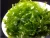 Import Green Curl Ulva Lactuca,Sea Lettuce grilled seaweed,Aonori from China