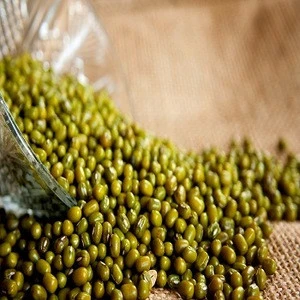 Green Mung Beans/Vigna Beans Supplier for sale