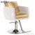 Import Hairdressing beauty barbershop antique salon equipment and furniture hair chairs metal barber chair from China