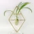 Import Hanging Test Tube Shaped Gold Geometric Metal Wall Flower Vase for Home Decoration from China