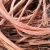 Import hebei  factory cheap 99.99% purity copper wire scrap scrap copper wire for sale from China