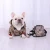 Import High-end luxury brand Fashionable dog jacket waterproof zipper dog clothes coat from China