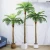 Import High Quality 90-300cm Plam Tree Plastic Leaf Small Large Potted Ornamental outdoor indoor Artificial Tree Plant for Home Decor from China