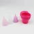 Import high quality and fashion women menstrual cups with customized from China