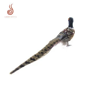 High quality beautiful natural feather pheasant for garden decoration