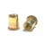 Import High Quality Carbon Steel Yellow Zinc Plated Blind Rivet Nut from China