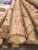 Import High Quality Cedar Wood Egde Glued/Finger Jointed Boards/Solid Wood Boards for Floor, Wall,Fence from Vietnam