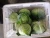 Import High quality Chinese fresh cabbage from China