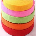 High Quality Custom Polypropylene Webbing Woven Tape/PP Webbing