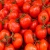 Import High quality fresh cherry tomatoes with Fresh tomatoes from China